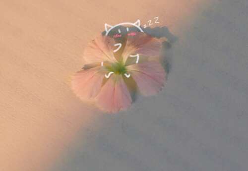 20，“当你喜欢一个人时，潜意识会自然希望每一只眼睛都深深地深情。一切都不会深入侵犯。它实际上是你和你自己的幻想。”