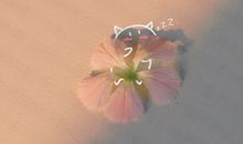 关于“偷偷喜欢”的真实句子