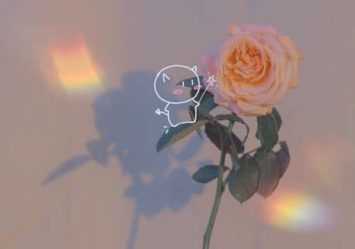 关于“秘密地喜欢”的真正句子