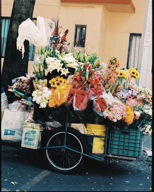 你有一个平滑的事情吗？不要过于焦虑，把你的心态稳定，好吗？花点时间让自己放松一下。我希望我的爱会给你带来清爽的心情！