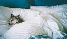 形容开心微笑的句子