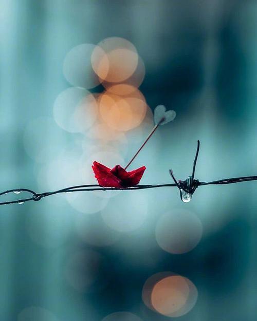 朋友圈情绪句话好句子