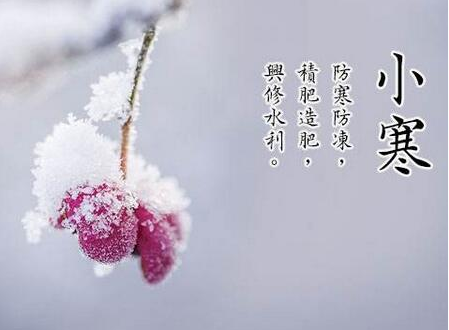 32，小燕，戴上烦恼，我希望你快乐;累了，我希望你是自由的;不要付钱，不要保留它，我希望你的好运伴随着无限制！