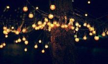 过于执着失恋的句子