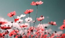 分手后还能做朋友的失恋句子