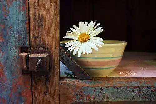 15，不想思考，但害怕自学激情;不是缺失，但害怕我从未回来过。见面，只是一个开始;珍惜，可以陪同一生，小心谨慎，用爱看。