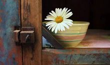 自己自作多情的文案