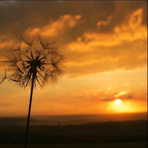 成为一个快乐的人句1