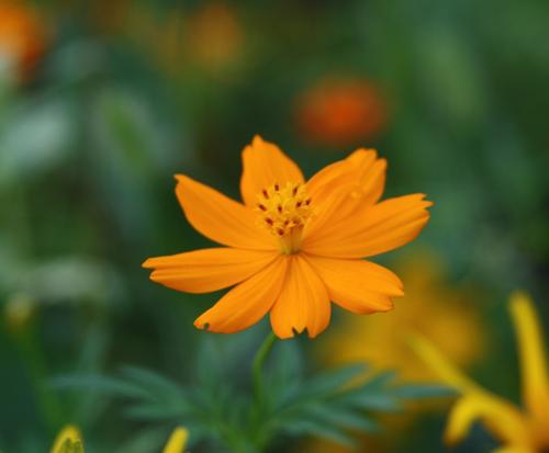 与洒水相关的句子