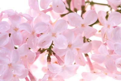 15.如果你不能原谅彼此的小缺点,那么你就无法长久地实现友谊。