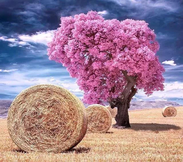 43，我也有可能改变的可能性。我想到了这一点，我是裙者。