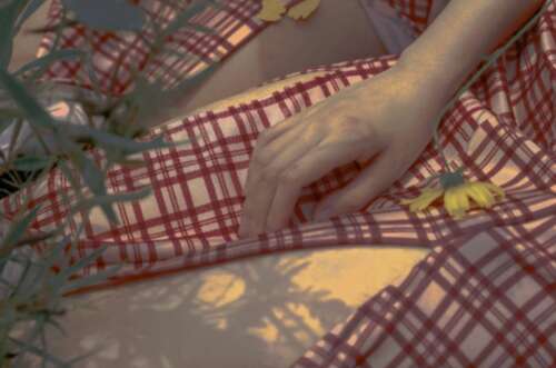 35,风在,它正在努力奋斗。