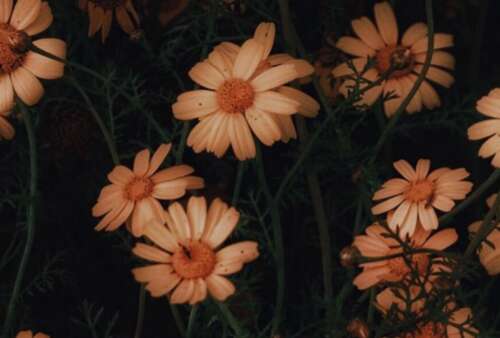 十字架的可爱短句1