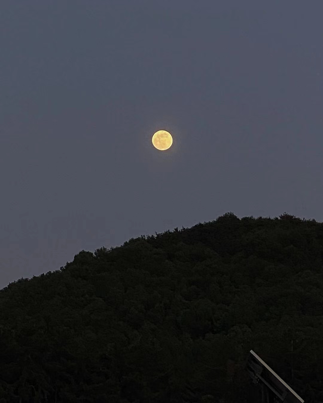 感到孤独的悲伤句子1