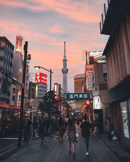 如果你有一只手，会有收获。