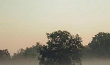 你好2021发朋友圈的句子