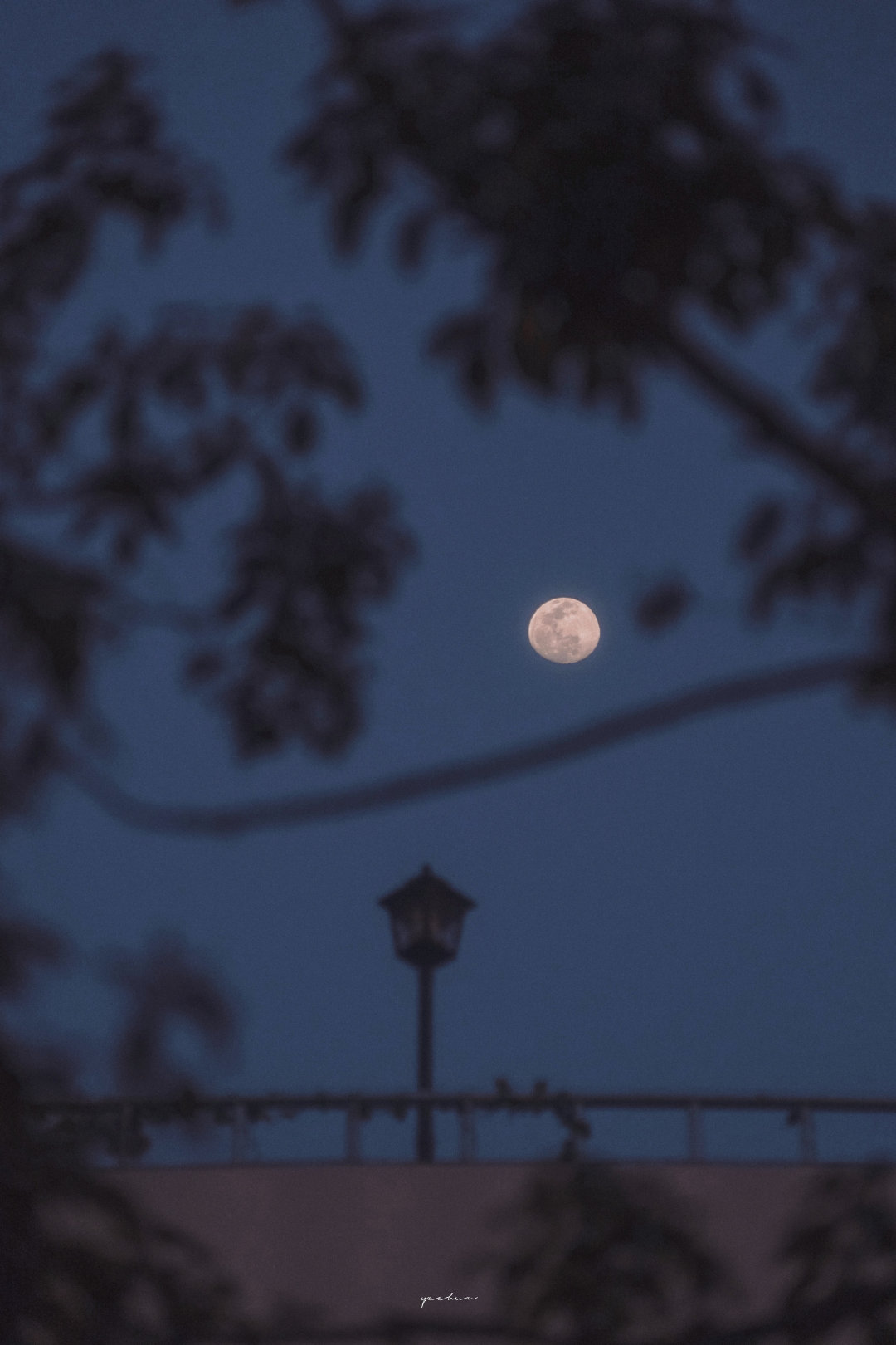 15，我们应该有坚持不懈，特别是自信！让我们的才能用来做点什么。 - 茱莉夫人