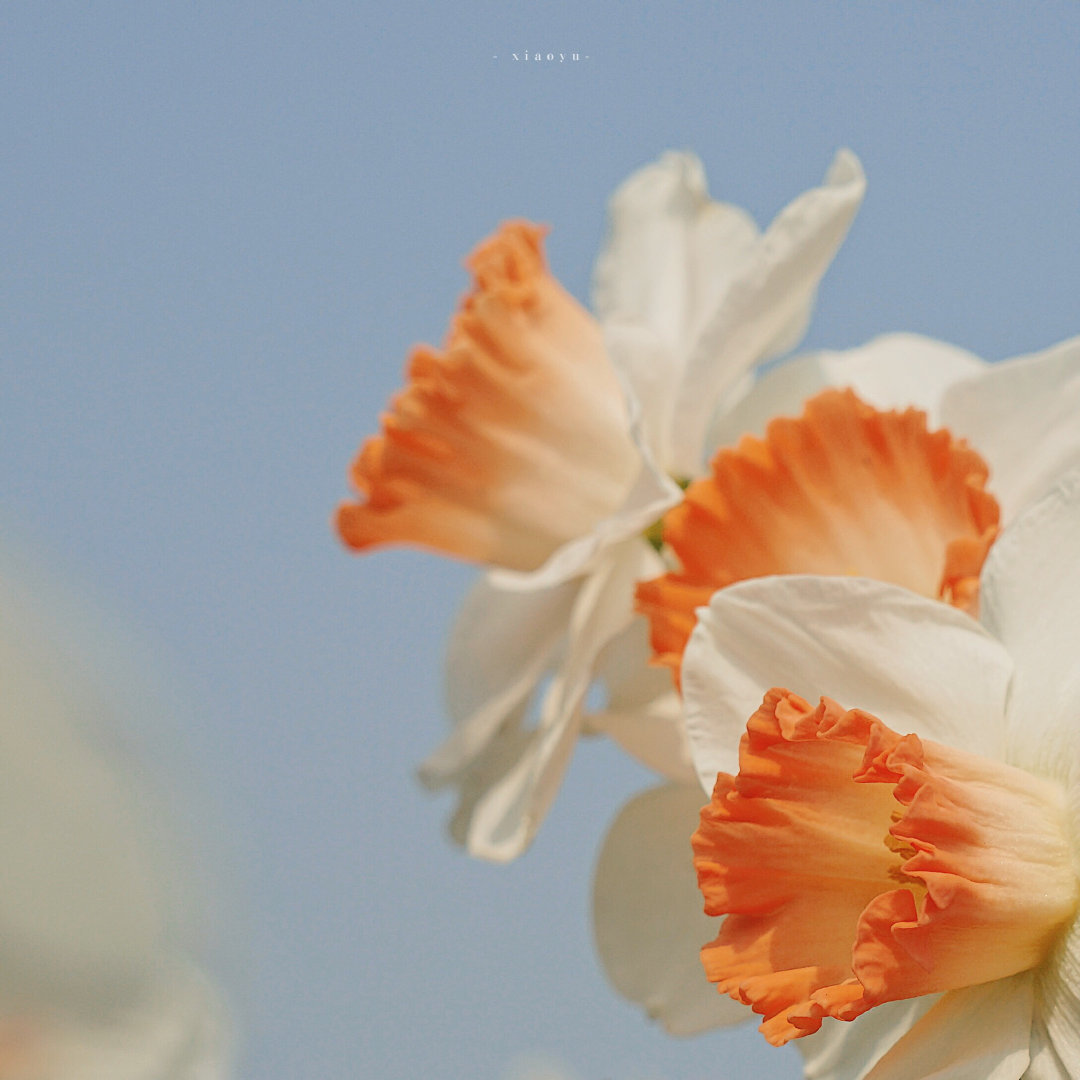 鼓励朋友的判决