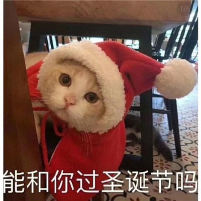 15，等待雪花圣诞树新年烟花，更好的你。