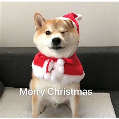 15，我特别想拥有一个冬天和你冬天，特别是当我在新的一年里有倒计时点时，我会吃火锅，喝你的牛奶茶，让你的烟，我想让你进入你武器。我会告诉你。我真的很喜欢你，今年是明年，其余的也是如此。