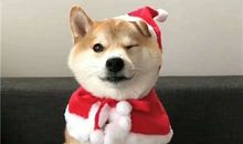 圣诞节祝福贺卡