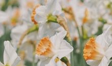 劝朋友坚强的句子大全