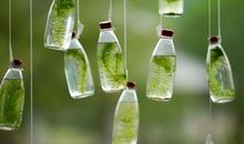 情侣初次见面说的情话