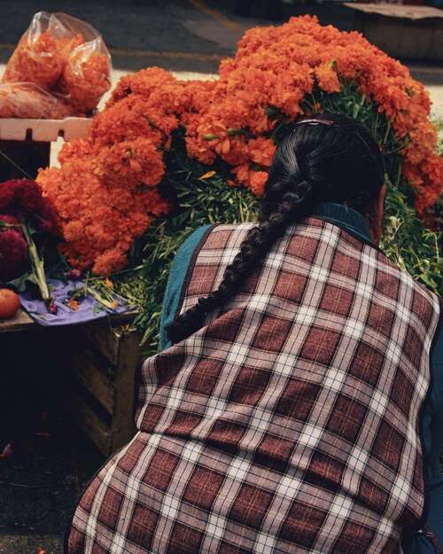 15.在课堂上，我知道假期。事实证明，到目前为止;薪水，这是一个坚硬的汗水;晋升，它就像股票