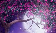 很美很冷门的古诗句