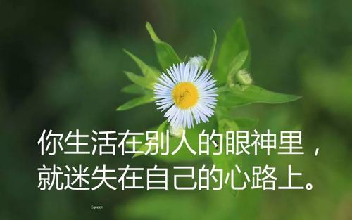 朋友圈表达生活的句子