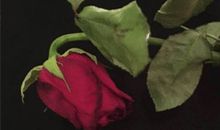 朋友圈说说大全2021