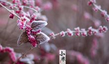 描写小寒节气冷的句子
