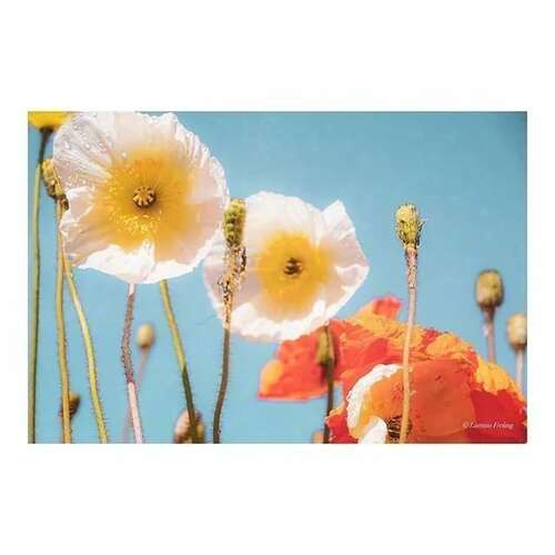 你可以去地面。愿你有一个朋友，我希望你的眼睛微笑，愿你不是顽固而不是悲伤，愿明天吗？愿你休息一下，冒风和储蓄，我希望你不要忘记快乐，未来就是这样，我希望你能愿意，你会串联。愿你总是有一个幸福的笑容，我希望这是温柔的，温柔，有召回烹饪，我希望你没有柔软的肋骨，你不需要盔甲。愿你和你一起爱人，浪费人不老。