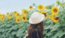 提升幸福感的句子