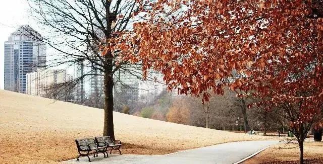 新年的一天出去玩