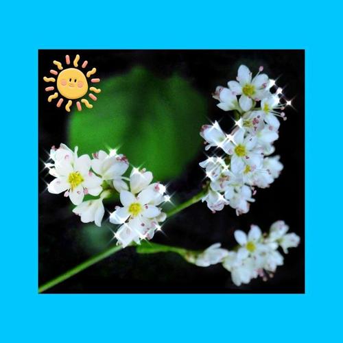 从一开始就鼓励句子