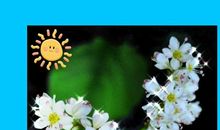 鼓励从头再来的句子