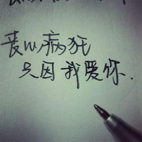 消息短句写给我的女朋友