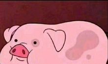 憨憨专用个性签名