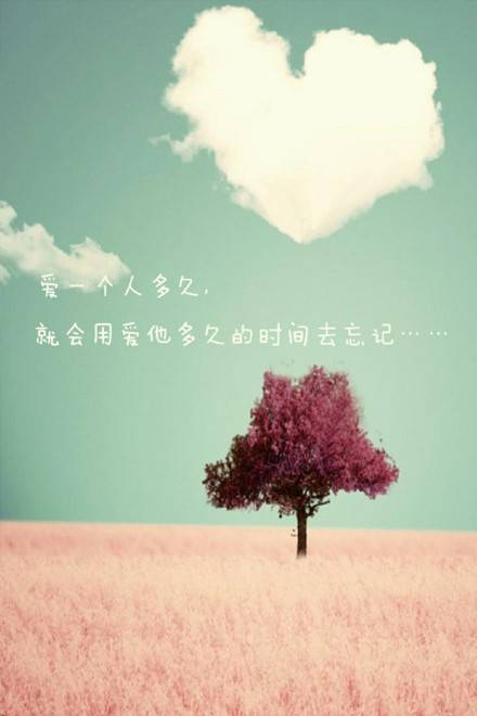 代表一个人的一节经文