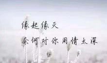 关于睡不着的说说