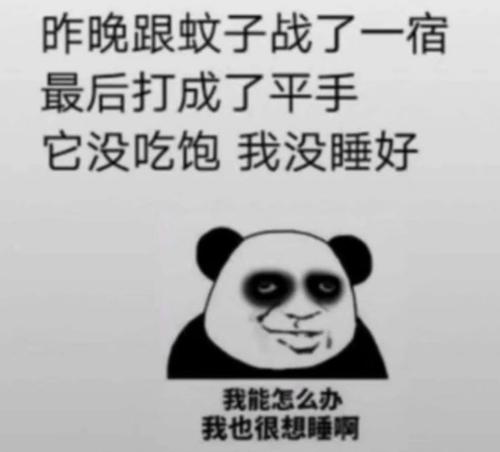 清晨的经典短句