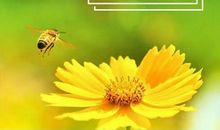 对学生的励志祝福语