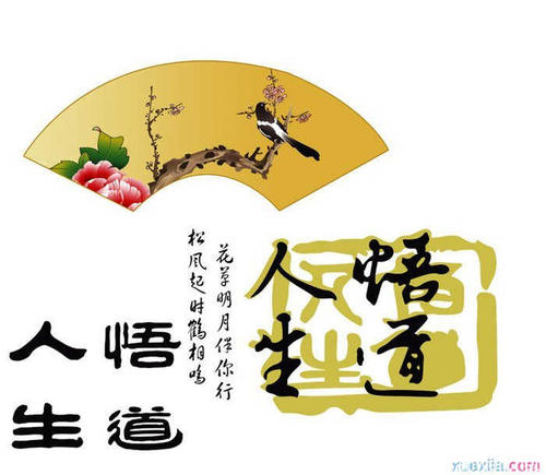 八次抚摸正确的归纳