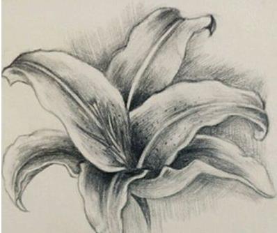 15，真正的朋友是两个身体中的一个灵魂。真正的朋友似乎有两颗心。