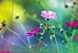 15.在业务基础上建立的友谊以及在友谊的基础上建立的业务。