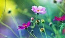 友情相互磨合的经典句子