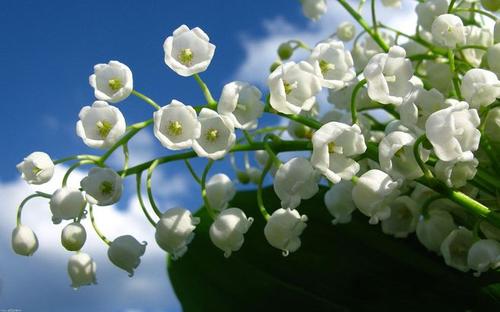 友好破解句子英语的原因1