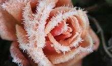 表达两代人友情的句子