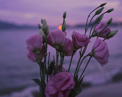 15.在这个世界上,让你依靠自己的人自己,可以拯救你的人只能自己。